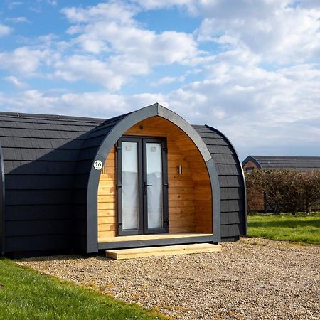 Camping Pods Hedley Wood Holiday Park Bridgerule Ngoại thất bức ảnh